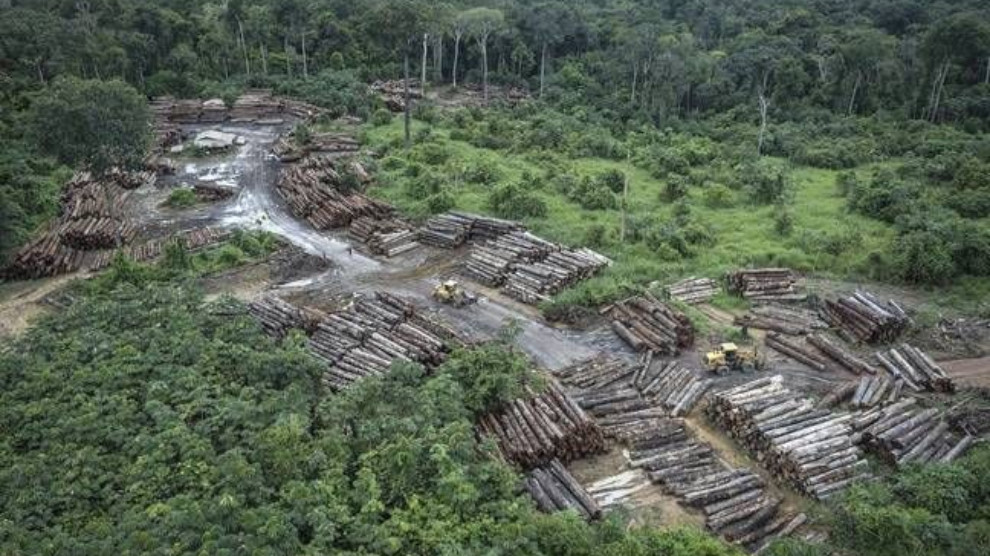ANF | Amazonlardaki ormansızlaştırma en yüksek seviyede